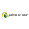 Palmas
